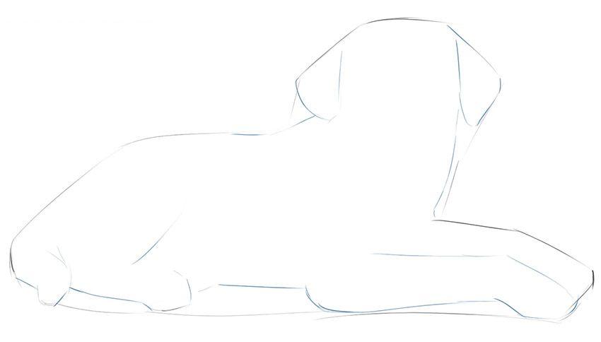 如何简单地画一只躺着的狗