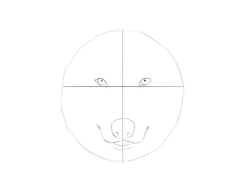 初学者如何画狼脸